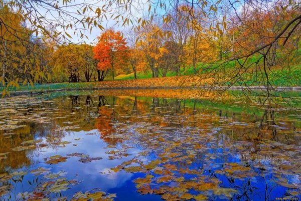 Листопад пейзаж