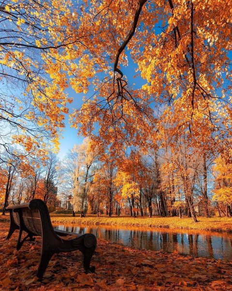 Осень в парке