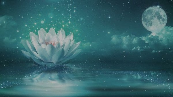 Лотос и Луна