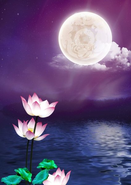 Лотос и Луна