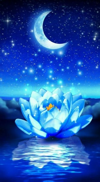 Волшебный лунный цветок