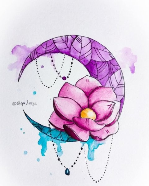 Лотос эскиз цветной