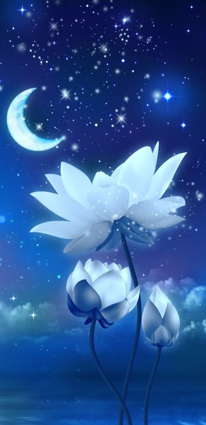 Луна и цветы