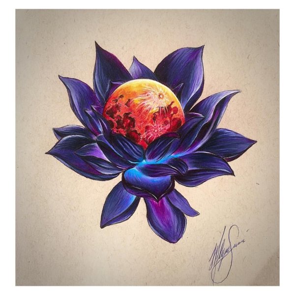 Лотос эскиз в цвете