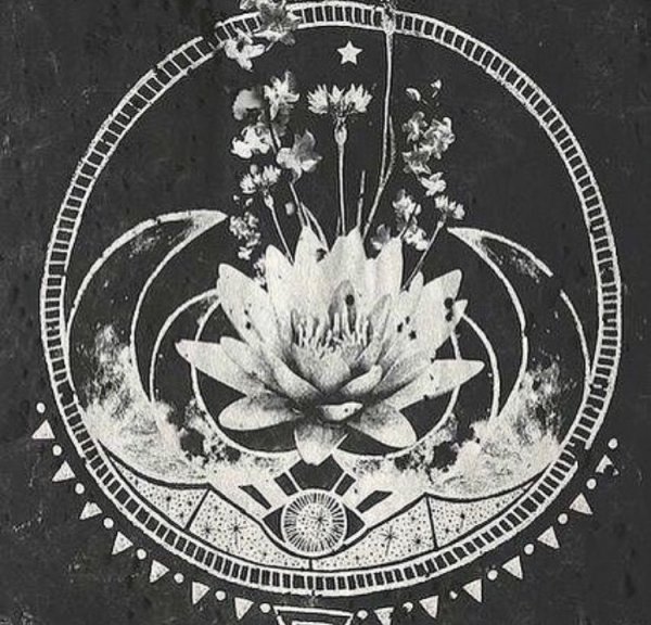 Цветок символизирующий луну