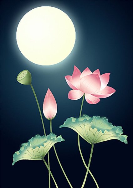 Лотос в лунном свете