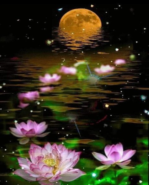 Весенние цветы,доброй ночи