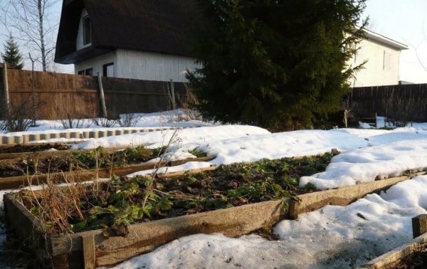 Огород в марте