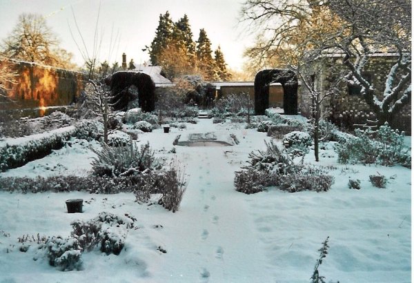 Зимний огород