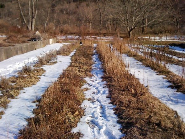 Огород в марте