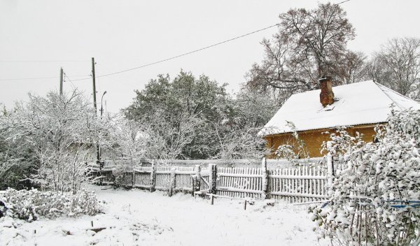 Участок зимой