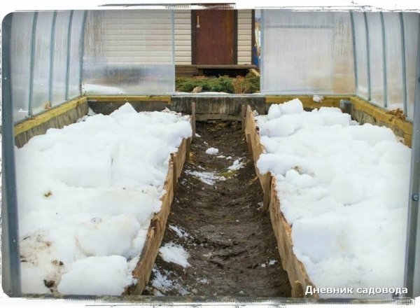 Зимние и весенние теплицы