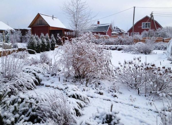 Снег на участке