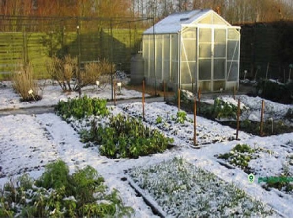 Теплица в марте