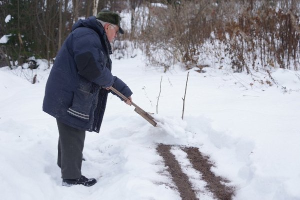 Огород под снегом
