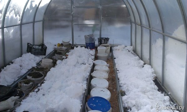 Зимние и весенние теплицы