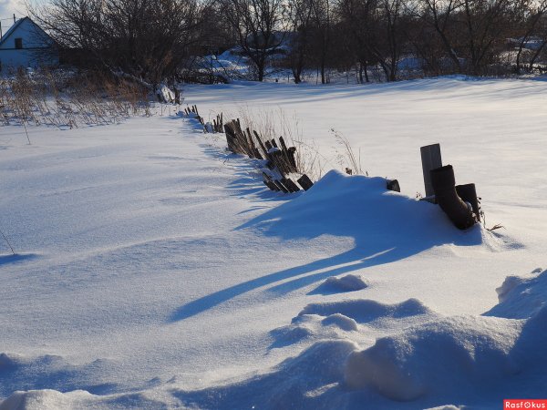 Работы огород зимние