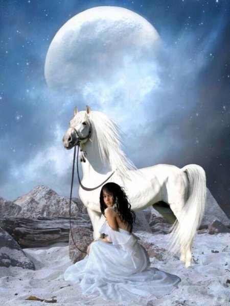 Лошадь и Луна