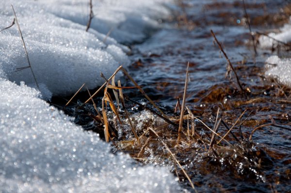 Мартовские ручьи