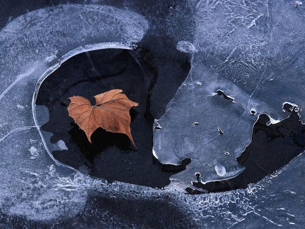 Первый лед на лужах