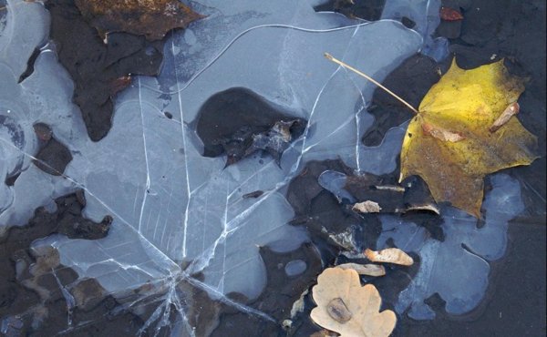 Заморозки лужа