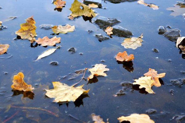 Осенний лед