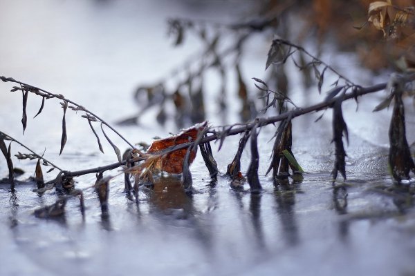 Поздняя осень первый лед
