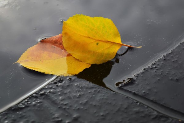 Осенний лед