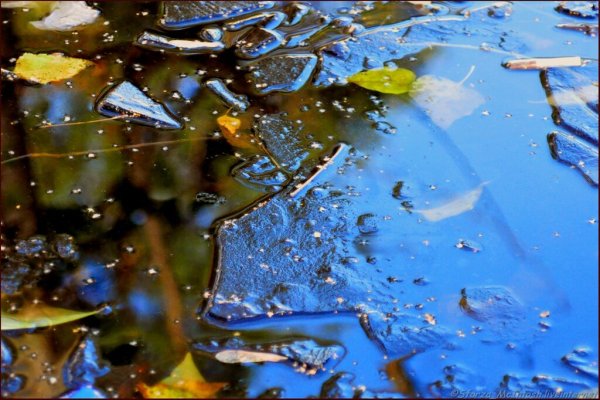 Ледяная лужа