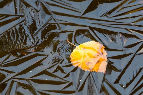 Лед на лужах осенью