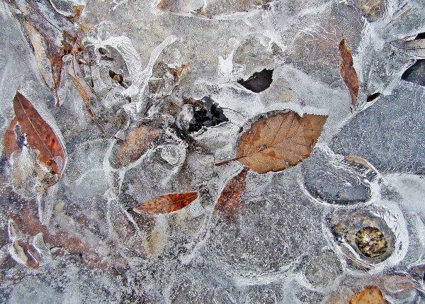 Ледяная лужа