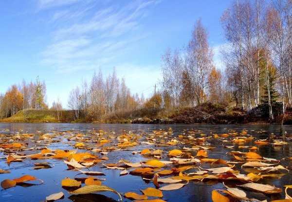Лёд неокрепший на речке