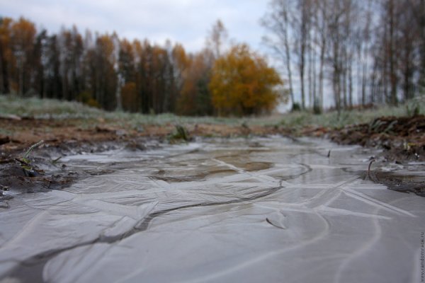 Ледяная лужа