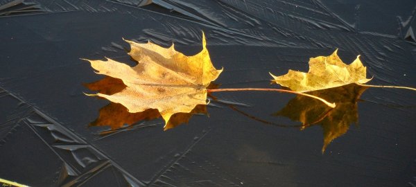 Осенний ледостав