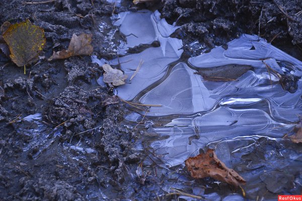 Лед на лужах