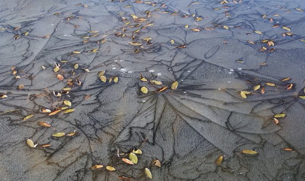 Первый лед на лужах