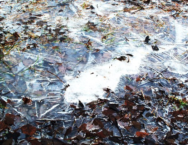 Замерзшая лужа