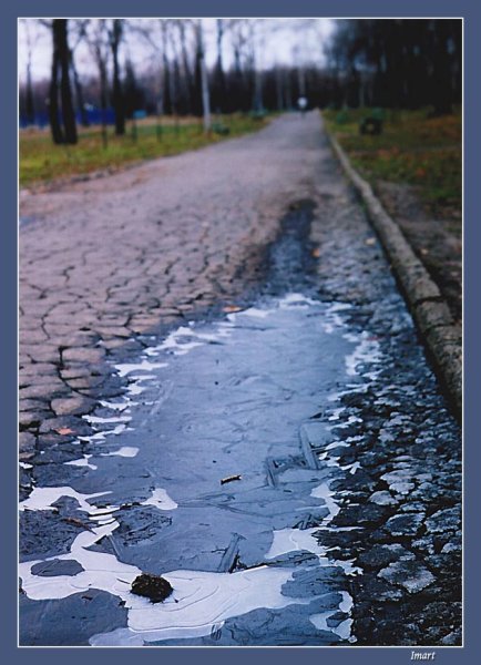 Тонкий лед на лужах