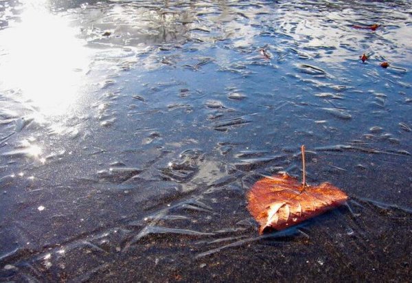 Лед на лужах