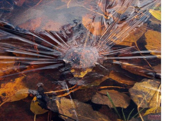 Лед на лужах