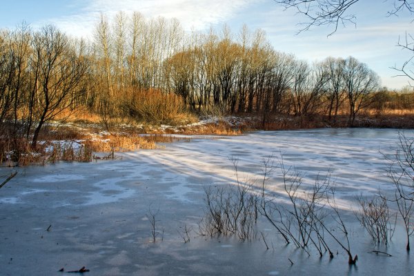 Лёд неокрепший на речке