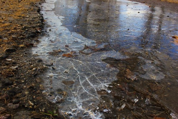 Ледяная лужа