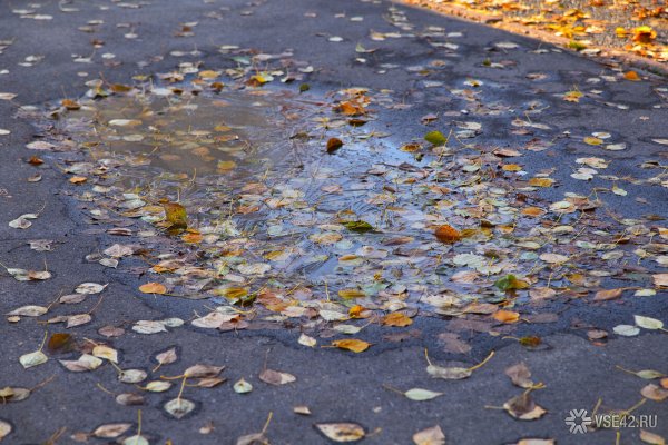 Лужи покрылись льдом