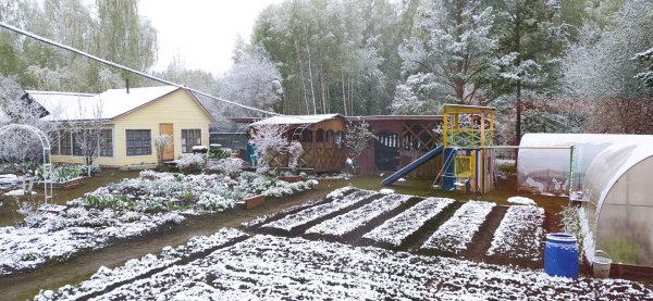 Староминская выпал снег