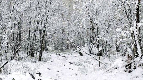 Майский снег