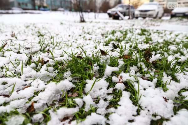 Первый снег