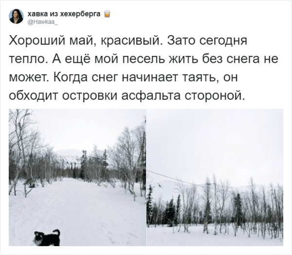 В России неожиданно выпал снег