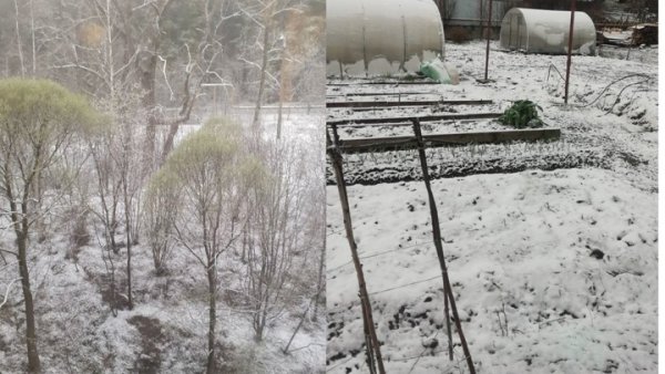 Зима весной вернулась