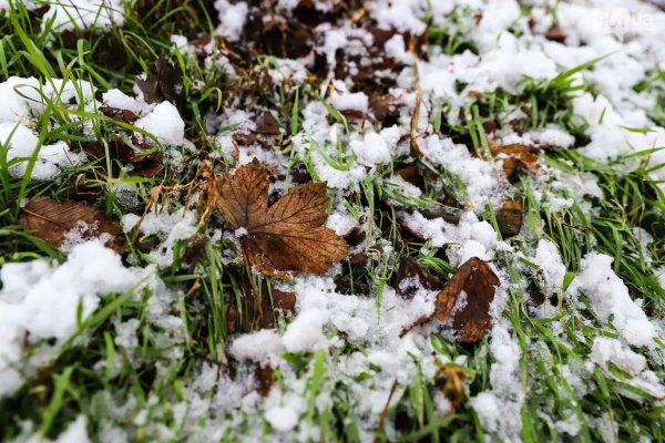 Первый снег