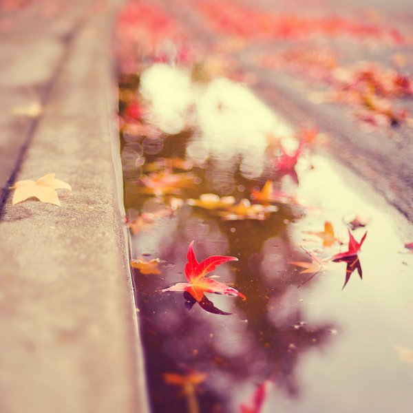 Осенняя нежность